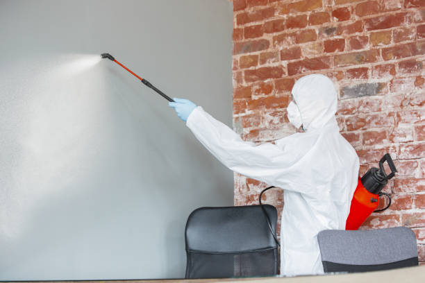  Prospect Heights, IL Mold Removal Pros