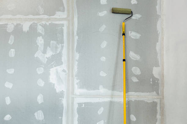 Best Environmental Consulting for Mold Prevention  in Prospect Heights, IL