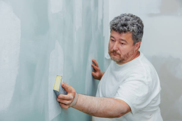 Best Crawl Space Mold Remediation  in Prospect Heights, IL