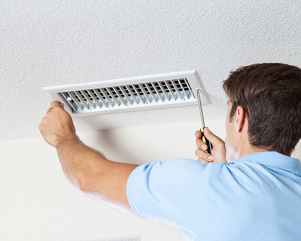 Best Industrial Mold Remediation  in Prospect Heights, IL